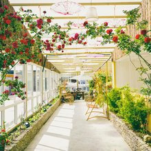 稻城逸养居客栈