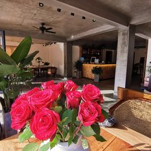 豆豆的花园民宿.Skygarden Villa(安吉云上草原游客中心店)