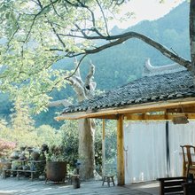 绥宁铁杉林苑民宿