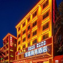 海口宝嘉商务酒店(龙湖天街城西站店)