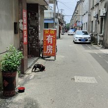 苏州安居有房民宿