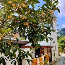 小别院民宿(白鹿镇店)