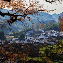 枫悦楼·Villa山景休闲度假美宿(婺源石城红枫叶景区店))