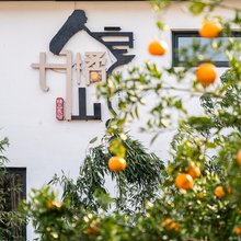 慈溪丹橘山房民宿
