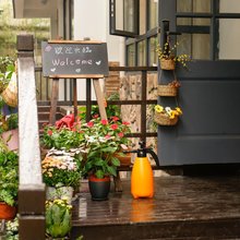 杭州似水流年民宿(西湖景区浙大玉泉店)