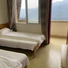红豆杉避暑山庄