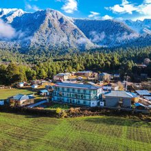 慈云·Homestead·民宿(波密岗云杉林店)