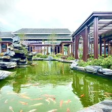 莒县浮来青茶文化交流中心
