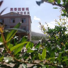 永胜果香园客栈