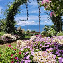 大理天海云赞｜海景度假美宿(洱海店)