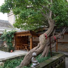 两棵冬青海岸庭院民宿(烟台山景区第一海水浴场店)