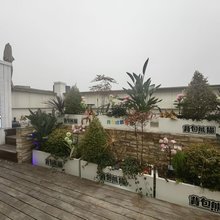 背包熊猫青年旅舍(东郊记忆店)