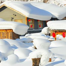 雪谷丁子涵时尚家庭旅馆