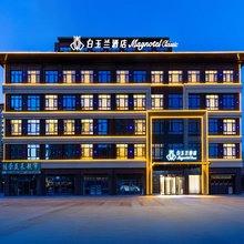 白玉兰酒店(聊城冠县武训大道三中店)