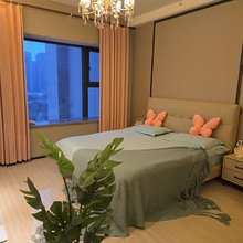 悠家民宿(阜阳双清湾公园恒大绿洲店)