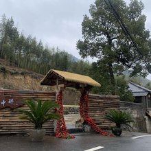 桐庐林中醉民宿