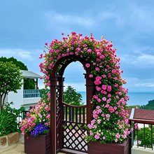 青岛凡萃阁民宿(崂山风景区店)