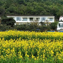 兴义青青于野民宿