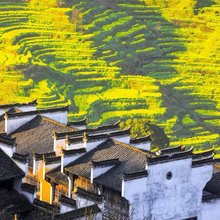 婺源青圃小院民宿