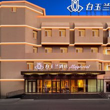 白玉兰酒店(葫芦岛市政府店)