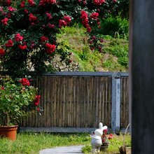 西递翰墨居·双庭院花园民宿