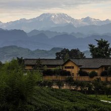 蒲江呆住明月酒店