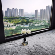 柚子民宿(郑州财经惠济校区店)