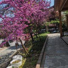 瑞柿小院(仙女山店)