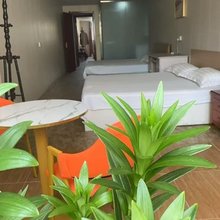 大森林旅馆(温泉镇政府店)