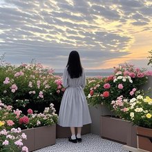 上锦·私享空中花园RooftopGarden星河湖景茶·咖旅行度假美宿