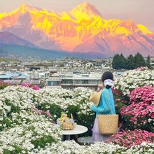 椿棠苑·轻居智能美宿(丽江大水车店)