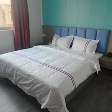 雅馨公寓(石湾公园店)