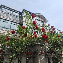 丽家筱院民宿(安吉中南百草园店)