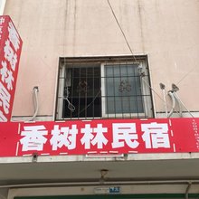 郑州香树林民宿