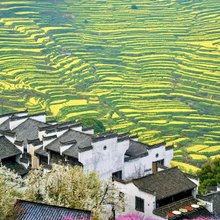 婺源巷往田院民宿(篁岭风景区店)