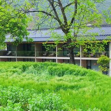 维西银杏山居民宿