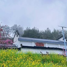 歙县云海居民宿