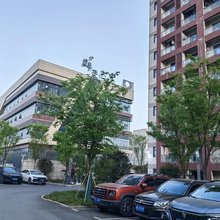 雅岚酒店(大墅店)