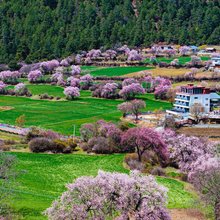 述野·非遗隐世山居