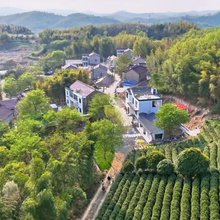 茶隐山居民宿