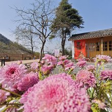 余姚四明山茶落归山民宿