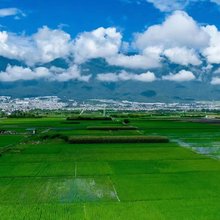 大理水韵阁隐筑野渡海景度假美墅(洱海S湾生态廊道店)