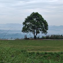 都江堰峨山大坪