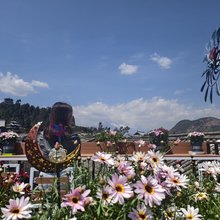 溪留居·雪山观景美宿(丽江木府店)