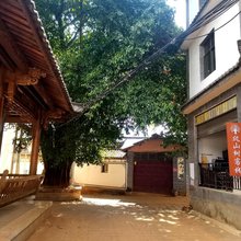 鸡足山爬山树客栈