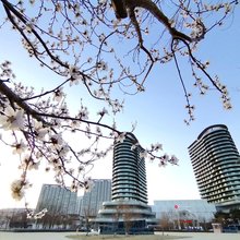 云水和居·日出海落海景度假艺宿(龙湾海滨店)