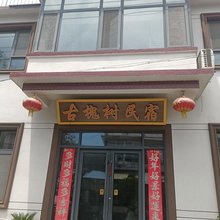微山古槐树民宿