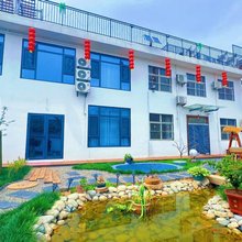 南山现温泉民宿