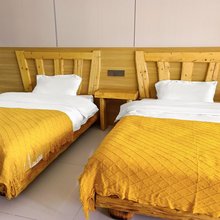 彩琴休闲客栈(那拉提空中乐园店)