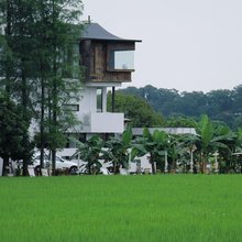 野小院(崖口店)